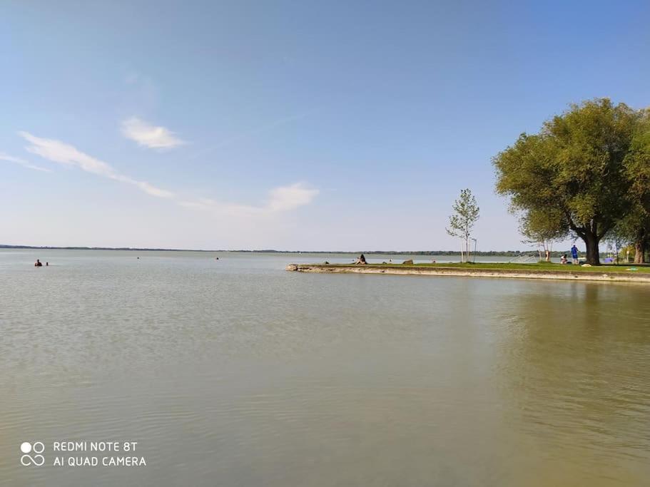 Flora House 3 Minutes From Balaton Будинок відпочинку Кестхей